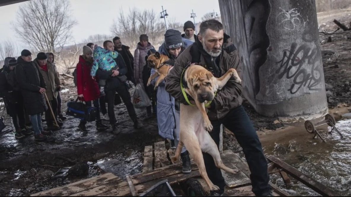 Rescue group of former military members save animals from Ukraine war zone